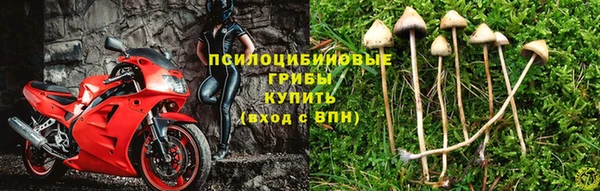 прущие крисы Алексеевка