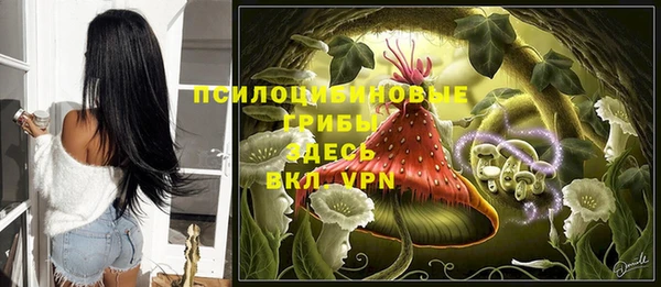 прущие крисы Алексеевка