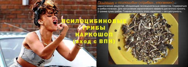 амф Алексин